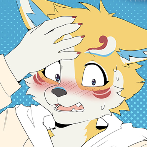 Volume 5 - Volume 5 - Gato